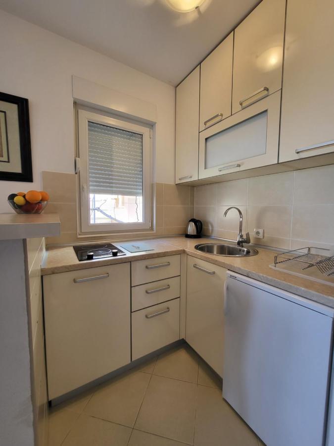 Apartment Rachel Petrovac Oda fotoğraf